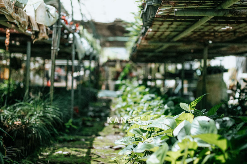 Bảo hành & Đổi trả